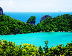 Phi Phi Island Phi Phi Island