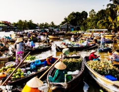 Delta Mekong Delta Mekong